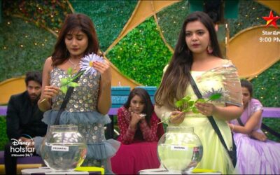 bigg boss telugu season 6 november 13th 2022 written updates vasanthi eliminated hvFMdZGdgQA